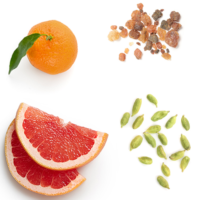 Air-X™ Mélange d’huiles essentielles doterra Suisse Ingredients