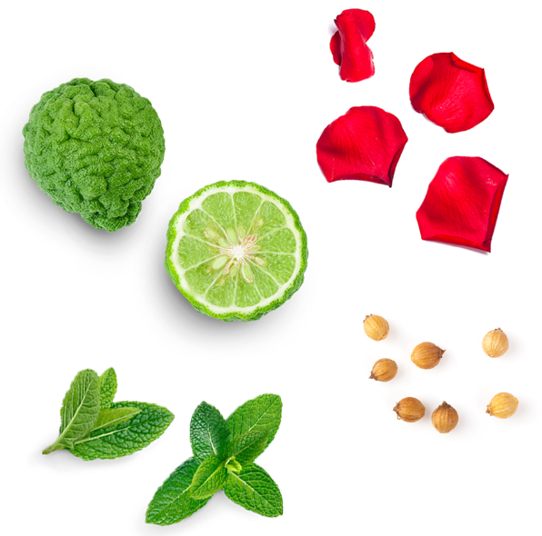 A flat-lay arrangement of green ingredients on a white background, including a textured green fruit, a sliced lime, mint leaves, red rose petals, and small tan seeds.