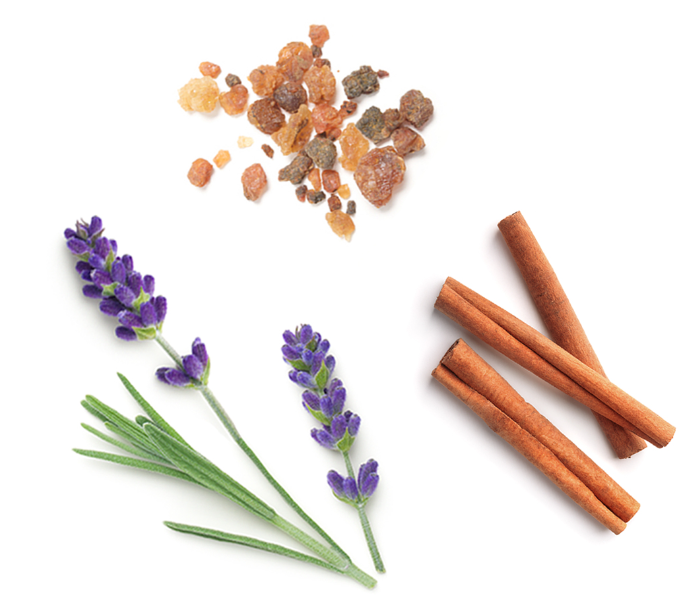 Fresh lavender sprigs with purple flowers and green stems, cinnamon sticks, and a small pile of amber-colored resin pieces arranged on a white background.