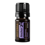 A 5 ml bottle of doTERRA Anchor Steadyng Blend essential oil on a plain white background.