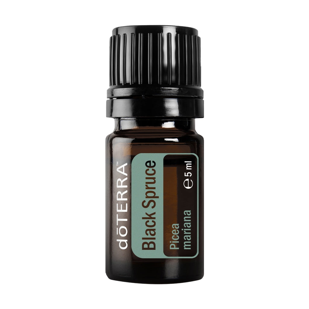 A 5ml amber glass bottle of doTERRA Black Spruce essential oil with a black ribbed cap and a green and white label, shown on a plain white background.