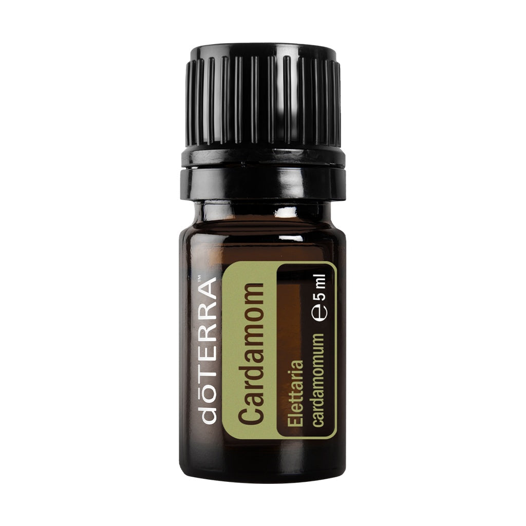 Ätherisches Kardamomöl/Cardamom