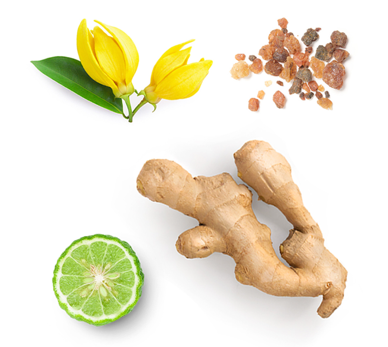 Natural ingredients including a whole piece of ginger root, a sliced lime half, yellow flowers with green leaves, and small brown crystals on a white background.