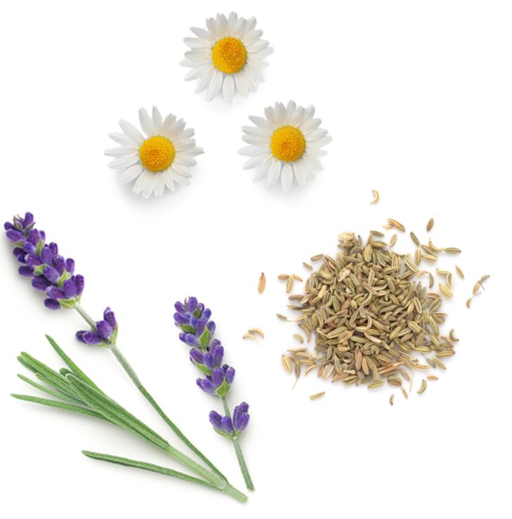 ClaryCalm™ I Mélange apaisant femme I Huiles essentielles Ingredients