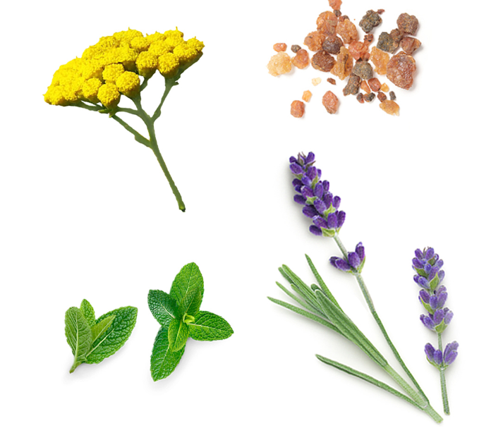 Composition Sun doterra Suisse