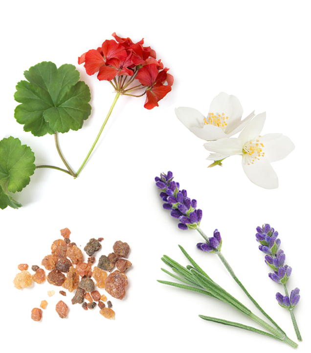 Crème hydratante doTERRA Composition