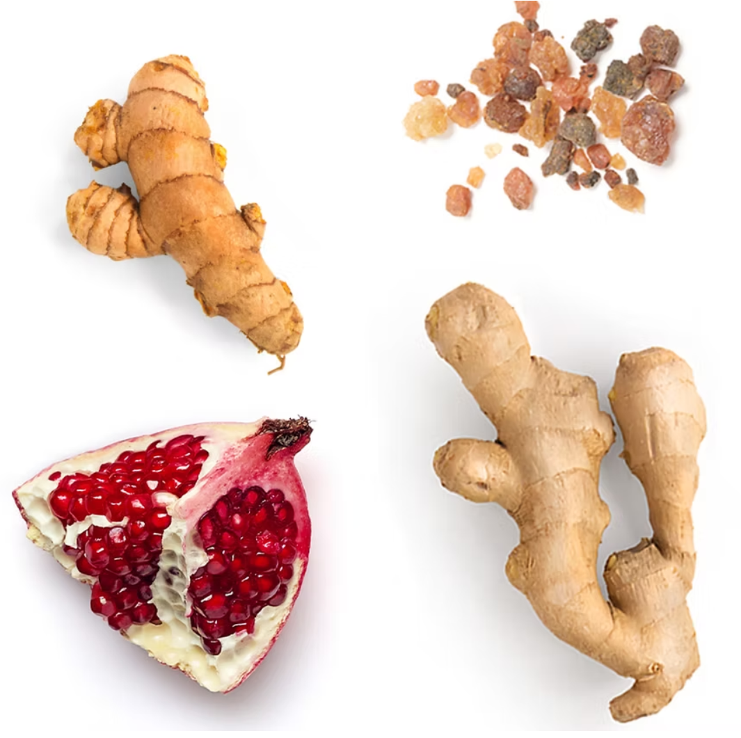 Four botanical ingredients arranged on a white background: two pieces of ginger root, a sliced pomegranate showing red arils, and a small pile of amber-colored resin or wax chunks.