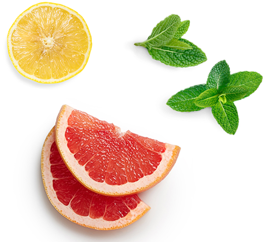 Fresh citrus ingredients on a white background: a halved yellow lemon, two pink grapefruit wedges, and two mint leaves.