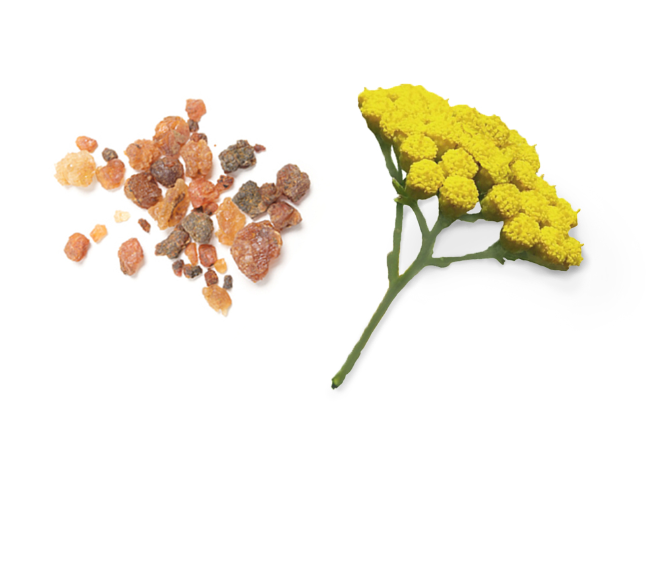 A small cluster of irregular orange-brown crystals on the left and a single yellow flower stem with green leaves on the right, photographed on a plain white background.