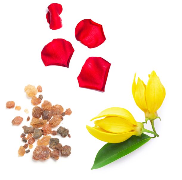 Four red rose petals and a small cluster of amber-colored resin pieces arranged on a white background, alongside a yellow flower with a green leaf in the lower right.