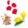 Four red rose petals and a small cluster of amber-colored resin pieces arranged on a white background, alongside a yellow flower with a green leaf in the lower right.