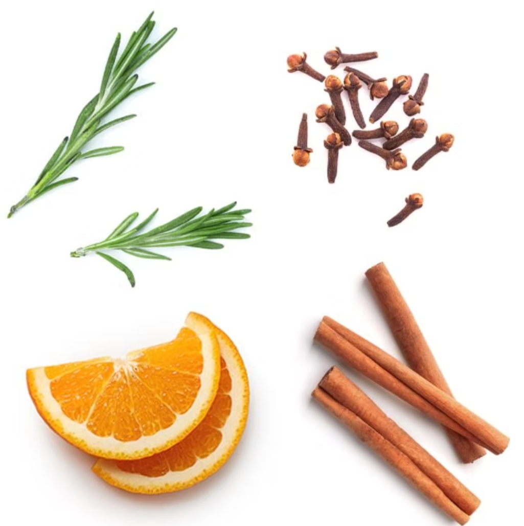 doTERRA OnGuard  Composition