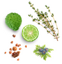 A botanical flat-lay of fresh ingredients on a white background, including a textured green fruit, a sliced lime, a sprig of thyme, a small cluster of blueberries, and scattered brown spice-like pieces.