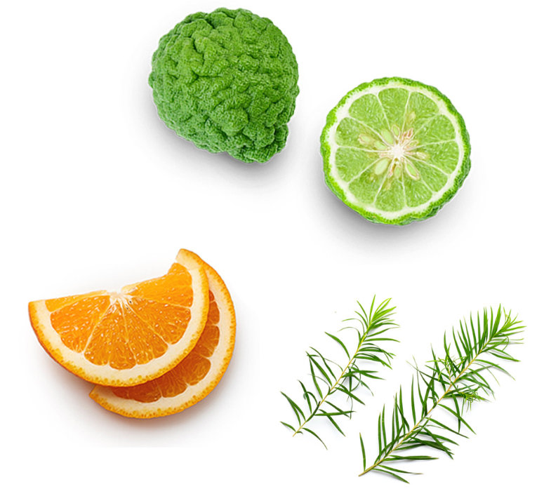 Mélange dōTERRA Hope™ en applicateur I Mélange huiles essentielles Ingredients