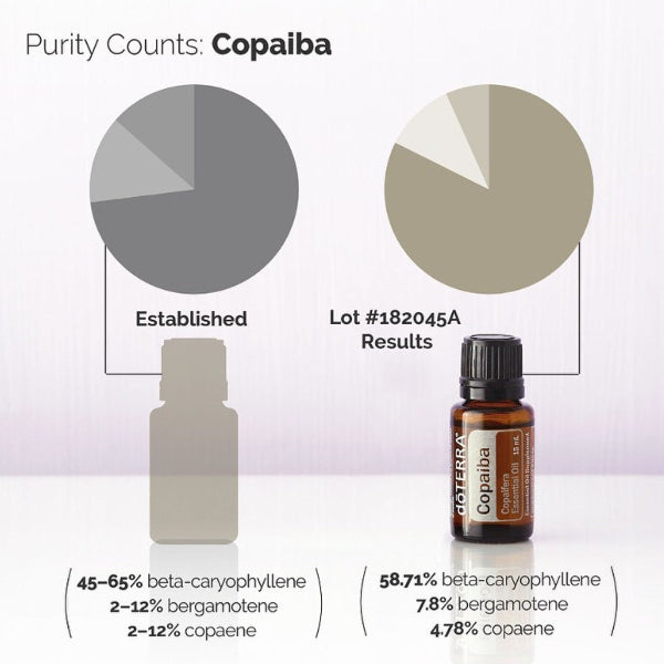 A product information graphic for a Copaiba essential oil bottle. The image shows a small amber glass bottle labeled 'HORTENIA Copaiba' on a white background, alongside two circular charts with percentages and text describing beta-caryphylene and bergamotene content.