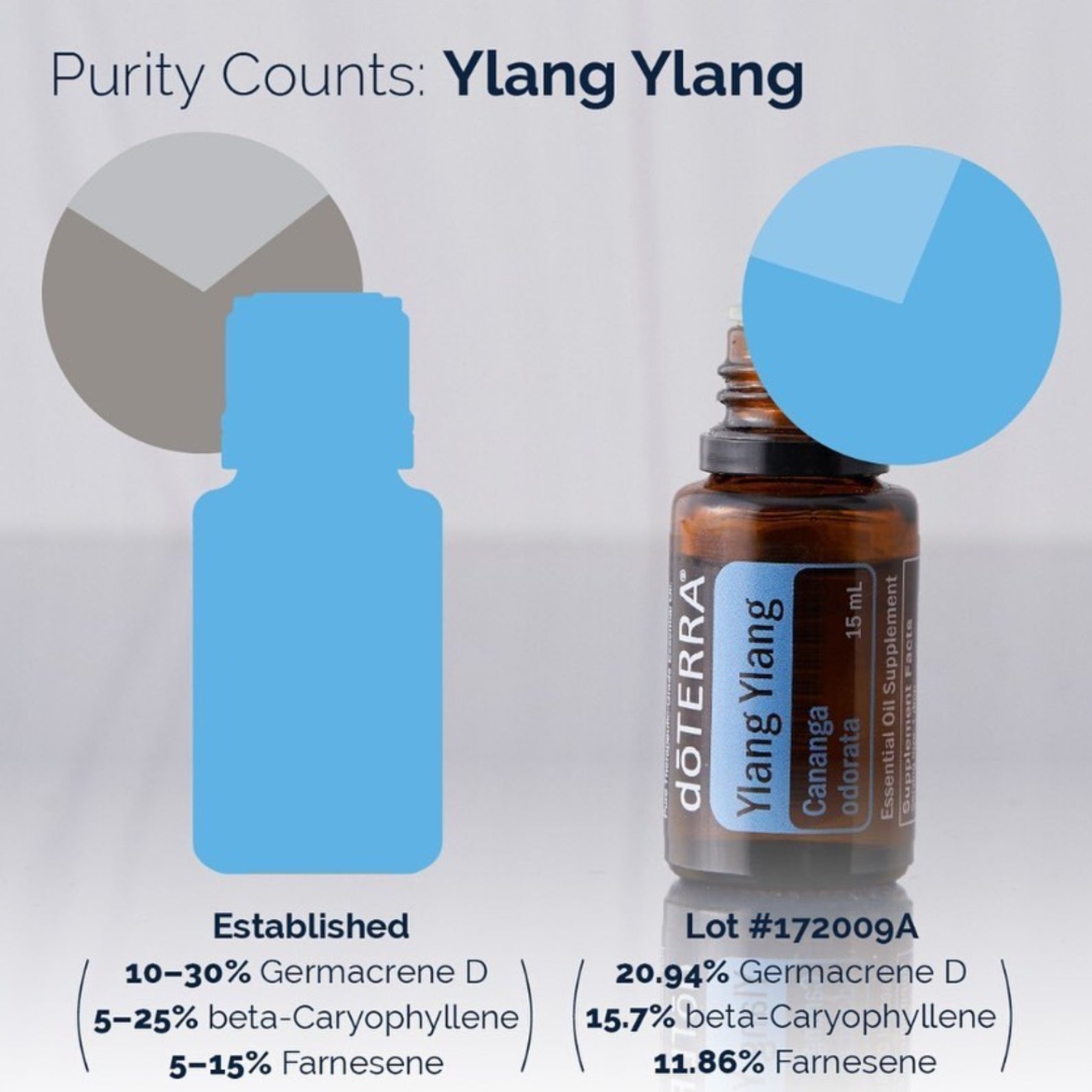 A product information graphic for doTERRA Ylang Ylang essential oil. It shows a small amber bottle on the right with a blue dropper top, alongside a large blue bottle silhouette on the left and pie charts.