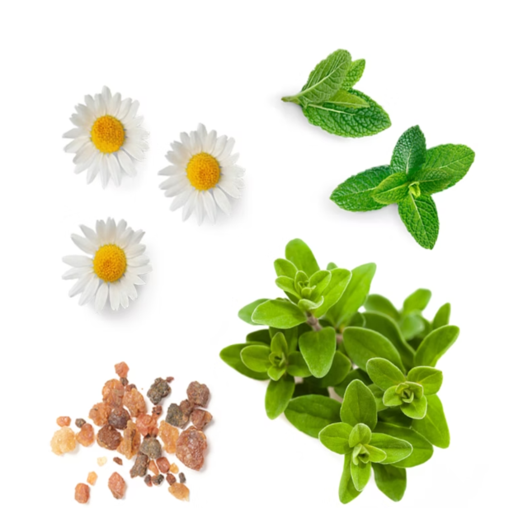 doterra Past Tense Ingredients