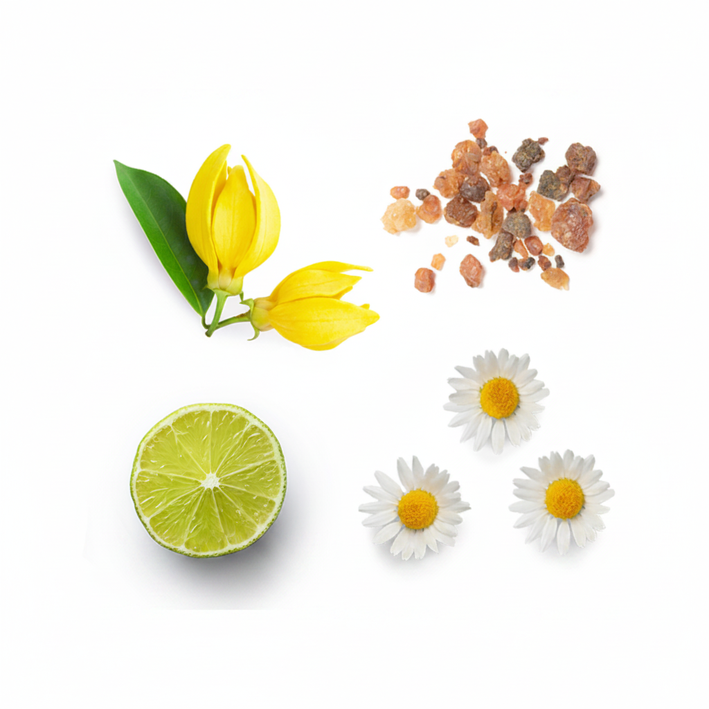 InTune™ Roll-On | Mélange Concentration & Attention | doTERRA 10ml Ingrédients 