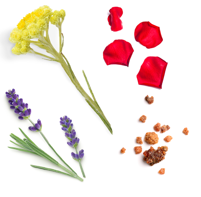 dōTERRA Salubelle™ Mélange régénérant pour la peau Ingredients
