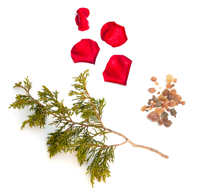 dōTERRA Stronger™ I Mélange protecteur I Huiles essentielles pour enfants Ingredents