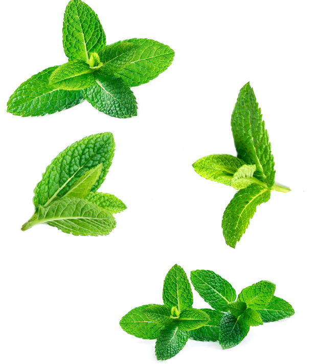 SuperMint™ Mischung ätherischer Minzöle