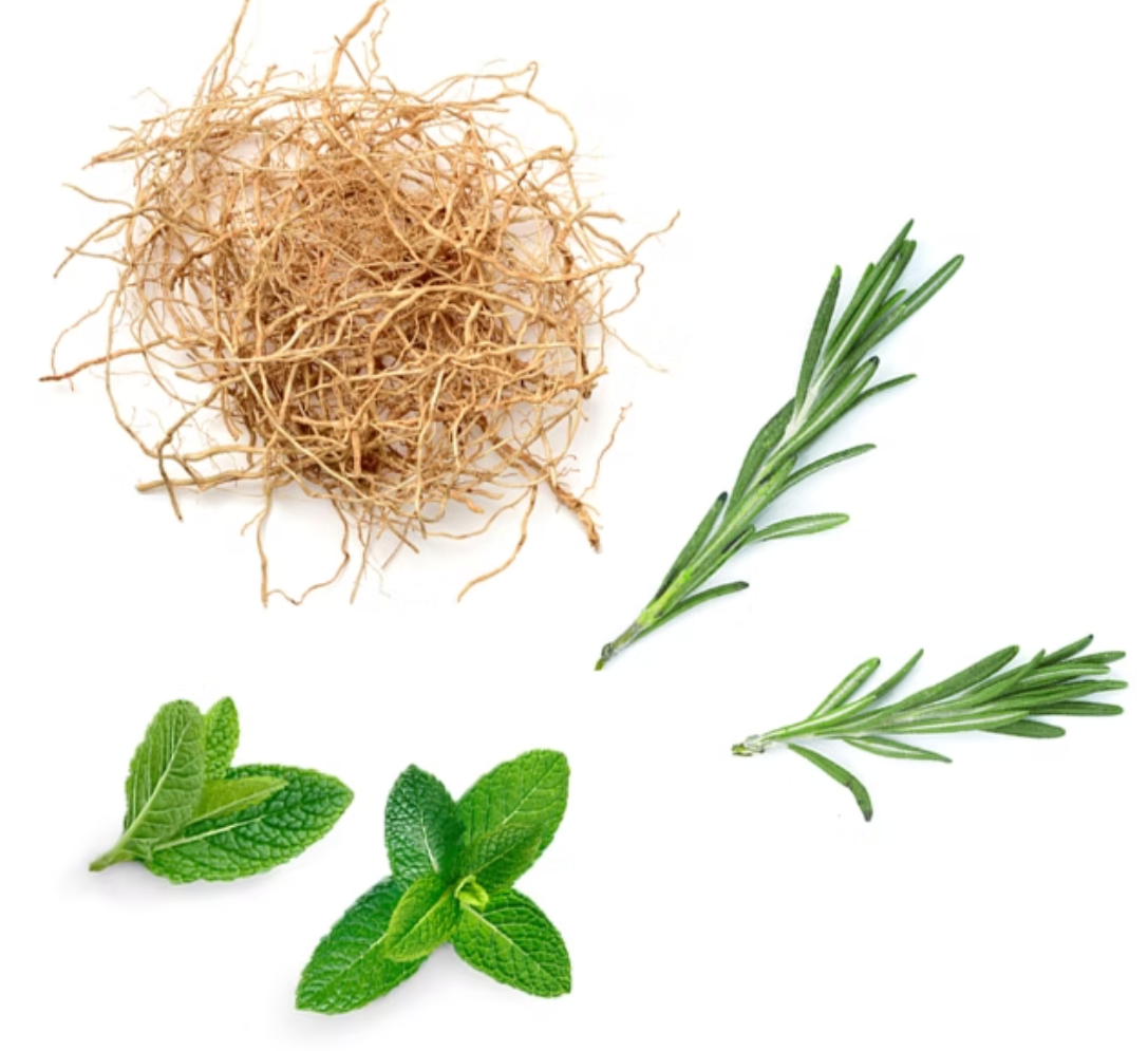 A botanical ingredient display featuring a clump of light brown roots, a green rosemary sprig, and two green mint leaves on a solid white background.