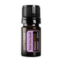 A 5 ml bottle of doTERRA Tulsi (Holy Basil) essential oil on a solid white background. The bottle is made of dark amber glass with a black ribbed cap and features a purple and white label.