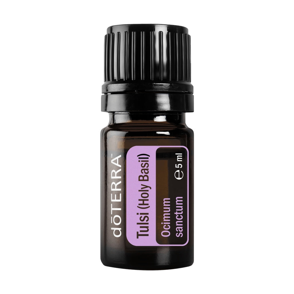 A 5 ml bottle of doTERRA Tulsi (Holy Basil) essential oil on a solid white background. The bottle is made of dark amber glass with a black ribbed cap and features a purple and white label.