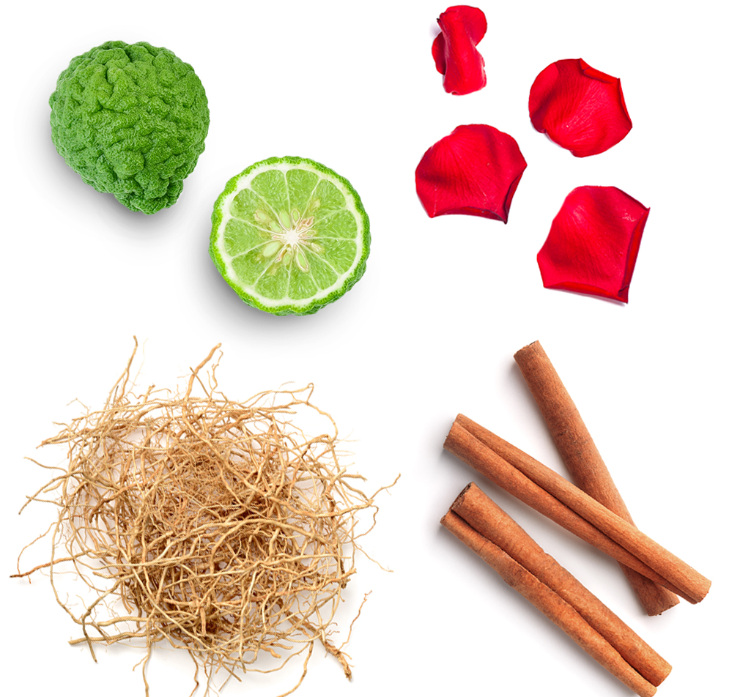 Whisper™ Touch I Mélange pour femmes I Huiles essentielles Ingredients