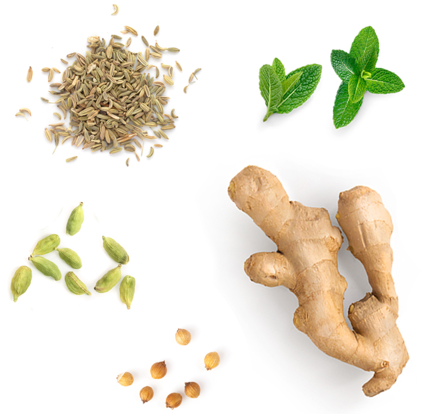 ZenGest™ Mélange digestif I Huiles essentielles Ingredients