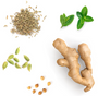 ZenGest™ Mélange digestif I Huiles essentielles Ingredients